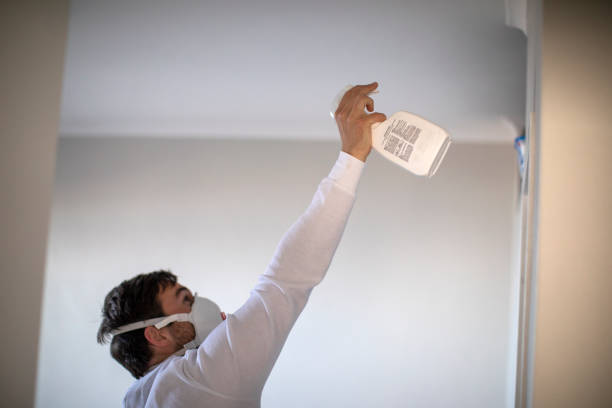 Best Attic Mold Removal  in Searles Valley, CA
