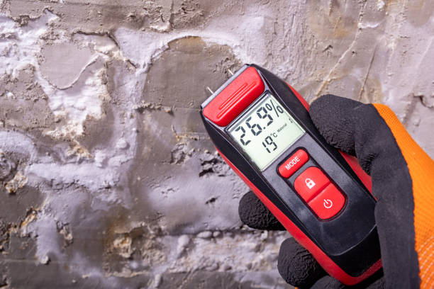Certified Mold Removal in Searles Valley, CA